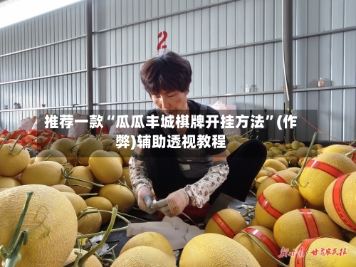 推荐一款“瓜瓜丰城棋牌开挂方法”(作弊)辅助透视教程-第3张图片