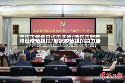 肺炎疫情祖国/新冠疫情祖国的力量-第2张图片