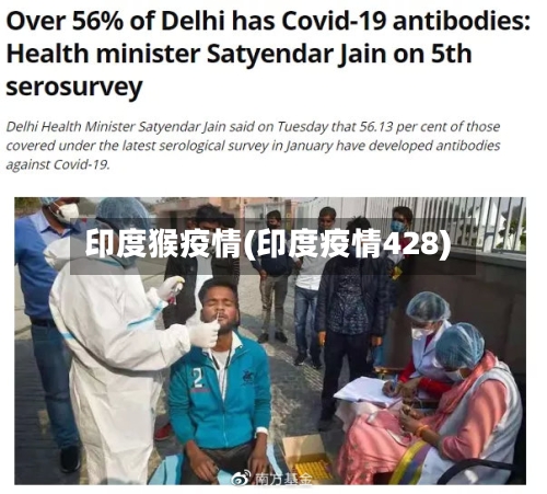 印度猴疫情(印度疫情428)-第3张图片