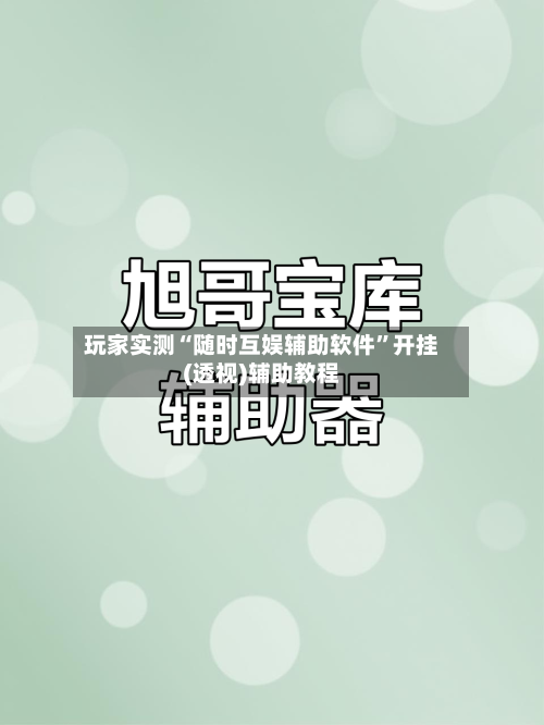 玩家实测“随时互娱辅助软件”开挂(透视)辅助教程-第1张图片
