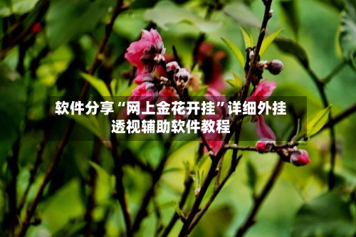 软件分享“网上金花开挂”详细外挂透视辅助软件教程