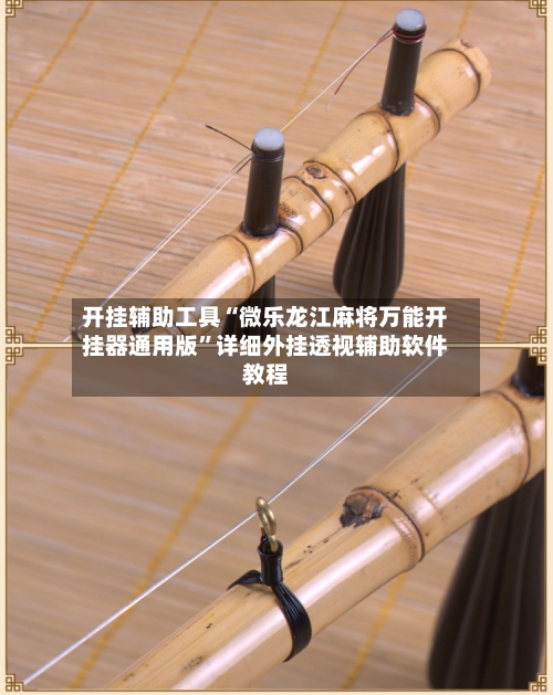 开挂辅助工具“微乐龙江麻将万能开挂器通用版”详细外挂透视辅助软件教程-第1张图片