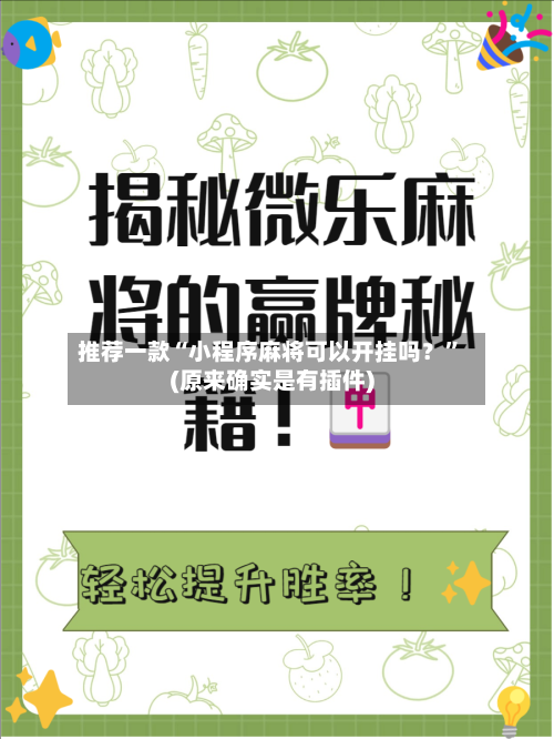 推荐一款“小程序麻将可以开挂吗？	”(原来确实是有插件)-第2张图片