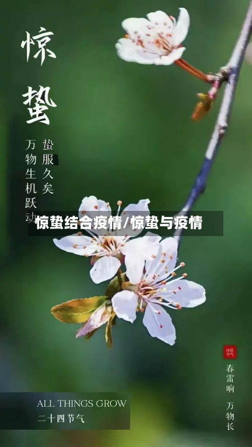 惊蛰结合疫情/惊蛰与疫情-第3张图片