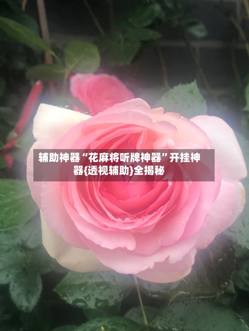 辅助神器“花麻将听牌神器	”开挂神器{透视辅助}全揭秘-第1张图片