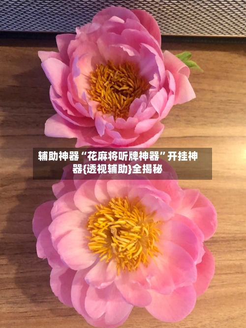 辅助神器“花麻将听牌神器”开挂神器{透视辅助}全揭秘-第3张图片
