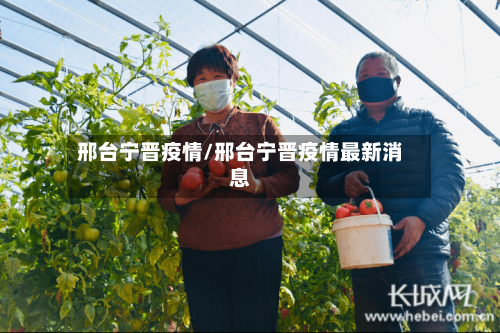 邢台宁晋疫情/邢台宁晋疫情最新消息-第2张图片