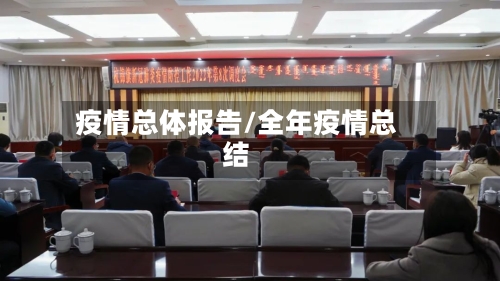 疫情总体报告/全年疫情总结-第3张图片