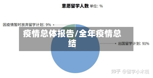 疫情总体报告/全年疫情总结-第1张图片