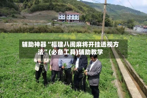 辅助神器“福建八闽麻将开挂透视方法”(必备工具)辅助教学-第3张图片
