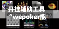 开挂辅助工具“wepoker能不能透视”开挂(透视)辅助教程-第1张图片
