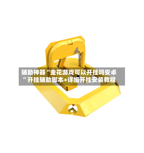 辅助神器“金花游戏可以开挂吗安卓”开挂辅助脚本+详细开挂安装教程-第3张图片