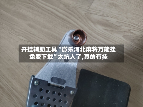 开挂辅助工具“微乐河北麻将万能挂免费下载”太坑人了,真的有挂