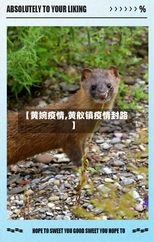 【黄婉疫情,黄舣镇疫情封路】-第2张图片