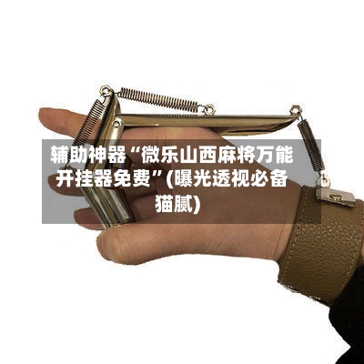 辅助神器“微乐山西麻将万能开挂器免费”(曝光透视必备猫腻)-第3张图片