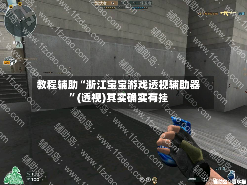 教程辅助“浙江宝宝游戏透视辅助器”(透视)其实确实有挂-第1张图片