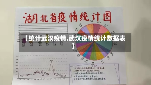 【统计武汉疫情,武汉疫情统计数据表】