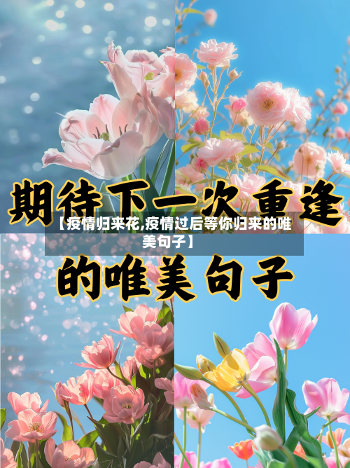 【疫情归来花,疫情过后等你归来的唯美句子】