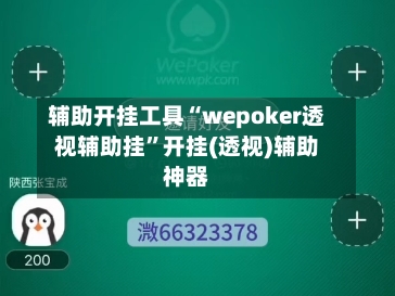 辅助开挂工具“wepoker透视辅助挂”开挂(透视)辅助神器-第2张图片
