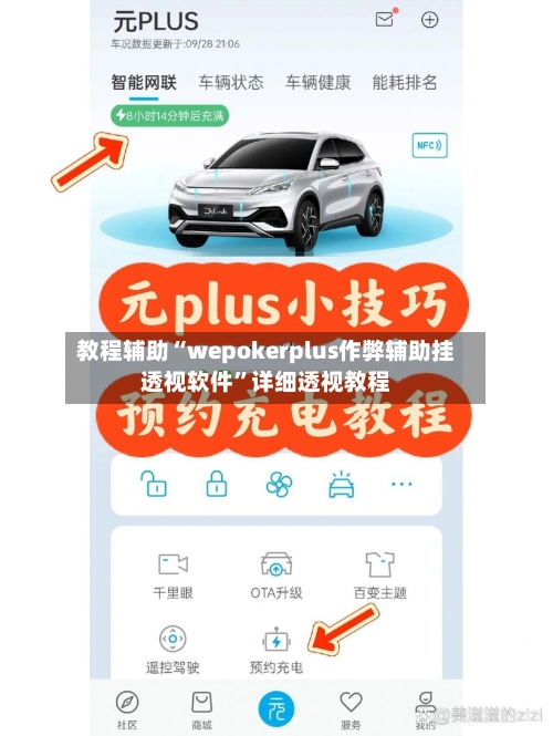 教程辅助“wepokerplus作弊辅助挂透视软件”详细透视教程-第1张图片