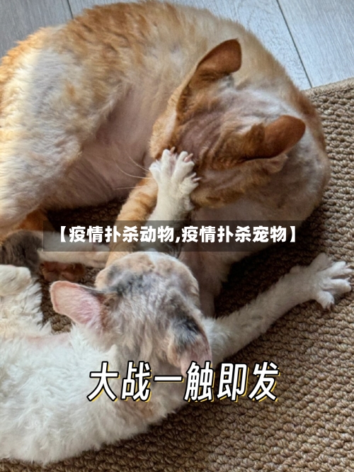 【疫情扑杀动物,疫情扑杀宠物】