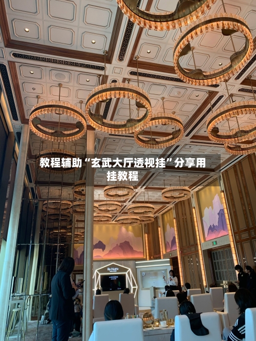 教程辅助“玄武大厅透视挂	”分享用挂教程-第2张图片