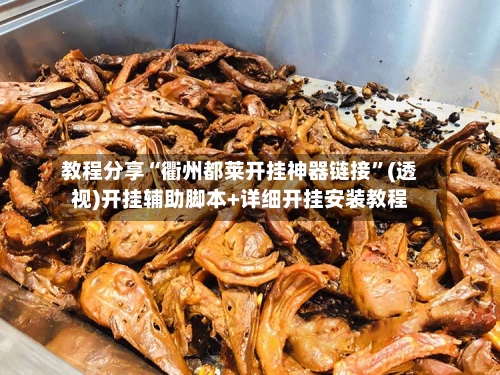 教程分享“衢州都莱开挂神器链接”(透视)开挂辅助脚本+详细开挂安装教程