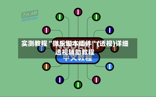 实测教程“微乐脚本插件”(透视)详细透视辅助教程-第2张图片