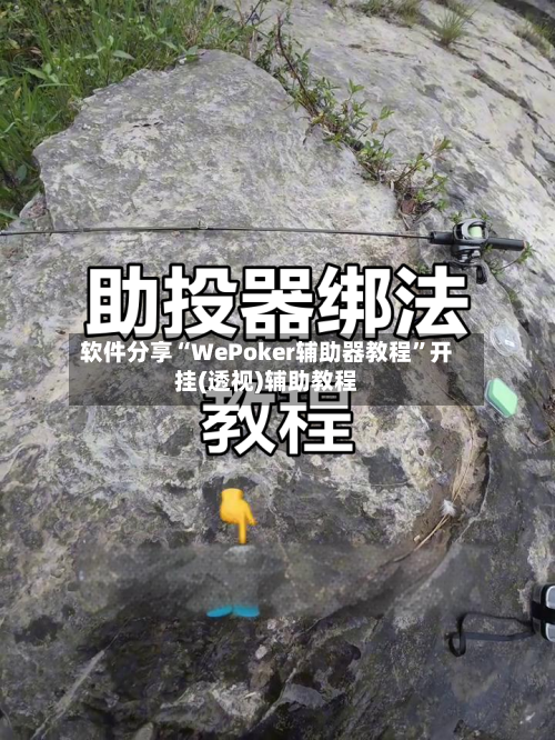软件分享“WePoker辅助器教程	”开挂(透视)辅助教程-第1张图片