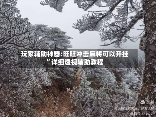 玩家辅助神器:旺旺冲击麻将可以开挂	”详细透视辅助教程-第2张图片