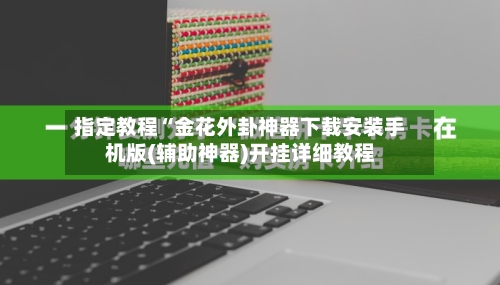 指定教程“金花外卦神器下载安装手机版(辅助神器)开挂详细教程-第2张图片