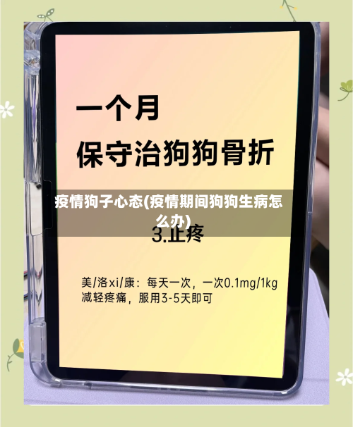 疫情狗子心态(疫情期间狗狗生病怎么办)-第2张图片