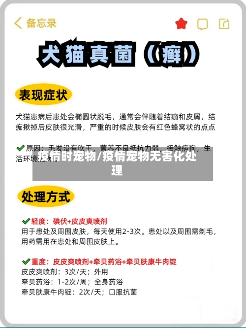 疫情时宠物/疫情宠物无害化处理-第3张图片