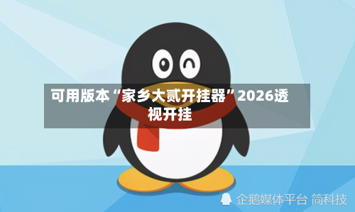 可用版本“家乡大贰开挂器”2026透视开挂-第1张图片