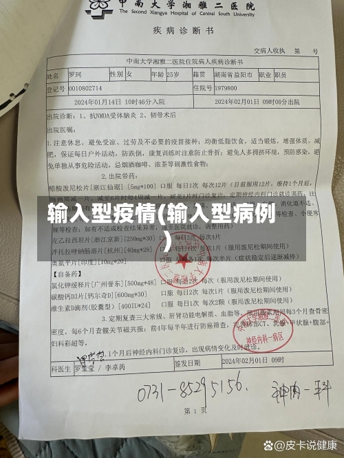 输入型疫情(输入型病例)-第3张图片