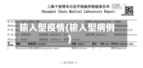 输入型疫情(输入型病例)-第2张图片