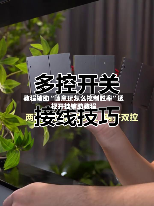 教程辅助“随意玩怎么控制胜率”透视开挂辅助教程-第2张图片