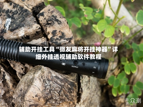 辅助开挂工具“微友麻将开挂神器	”详细外挂透视辅助软件教程-第2张图片