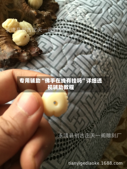 专用辅助“佛手在线有挂吗”详细透视辅助教程-第1张图片