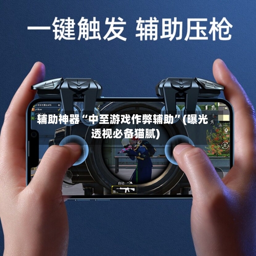 辅助神器“中至游戏作弊辅助	”(曝光透视必备猫腻)-第2张图片