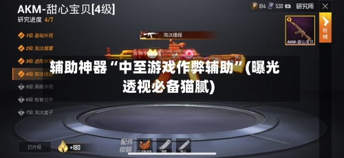 辅助神器“中至游戏作弊辅助”(曝光透视必备猫腻)