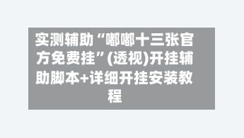 实测辅助“嘟嘟十三张官方免费挂	”(透视)开挂辅助脚本+详细开挂安装教程-第1张图片