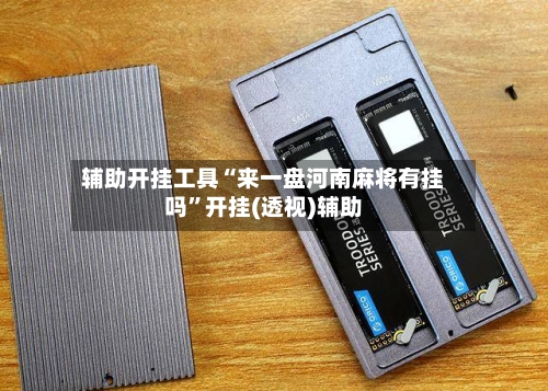 辅助开挂工具“来一盘河南麻将有挂吗	”开挂(透视)辅助-第2张图片