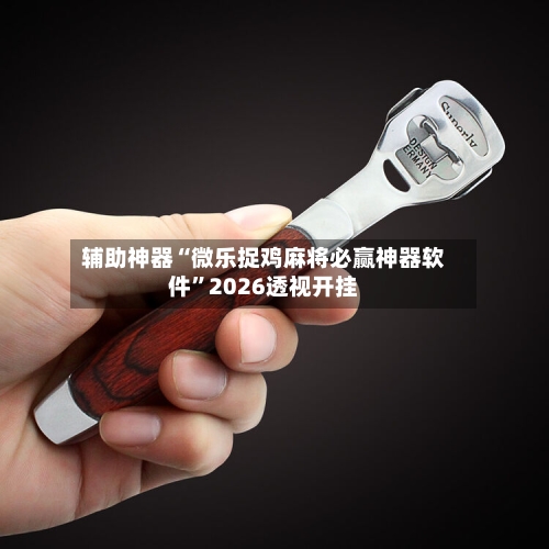 辅助神器“微乐捉鸡麻将必赢神器软件”2026透视开挂-第2张图片