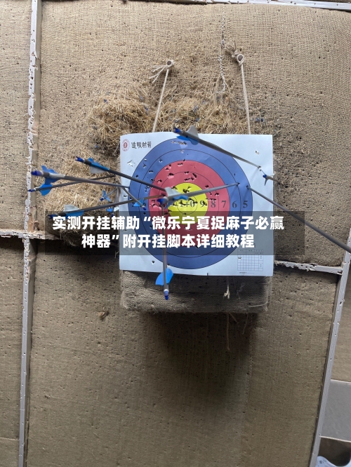 实测开挂辅助“微乐宁夏捉麻子必赢神器”附开挂脚本详细教程-第1张图片