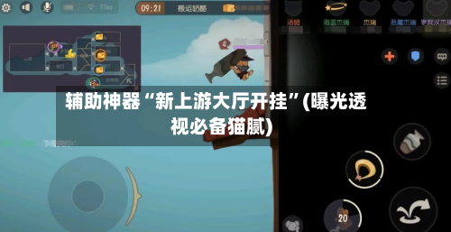 辅助神器“新上游大厅开挂”(曝光透视必备猫腻)-第2张图片