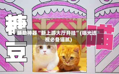 辅助神器“新上游大厅开挂”(曝光透视必备猫腻)-第3张图片