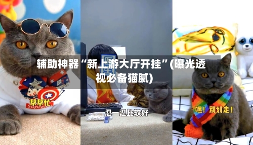 辅助神器“新上游大厅开挂”(曝光透视必备猫腻)