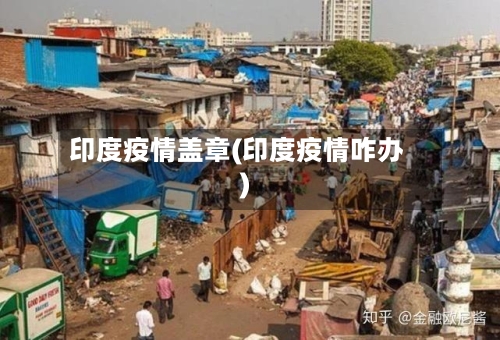 印度疫情盖章(印度疫情咋办)-第2张图片