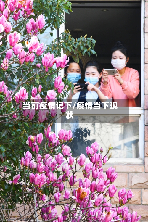 当前疫情记下/疫情当下现状-第3张图片